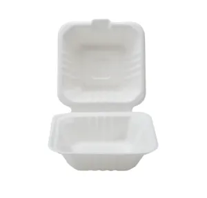 6" X 6" COMPOSTABLE HINGED CONTAINER (400/CS)