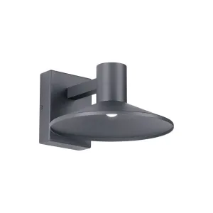 Ash 10 In. LED Lo-Output Outdoor Wall Sconce 381 Lumens 2700K Gray Finish Clear Lens