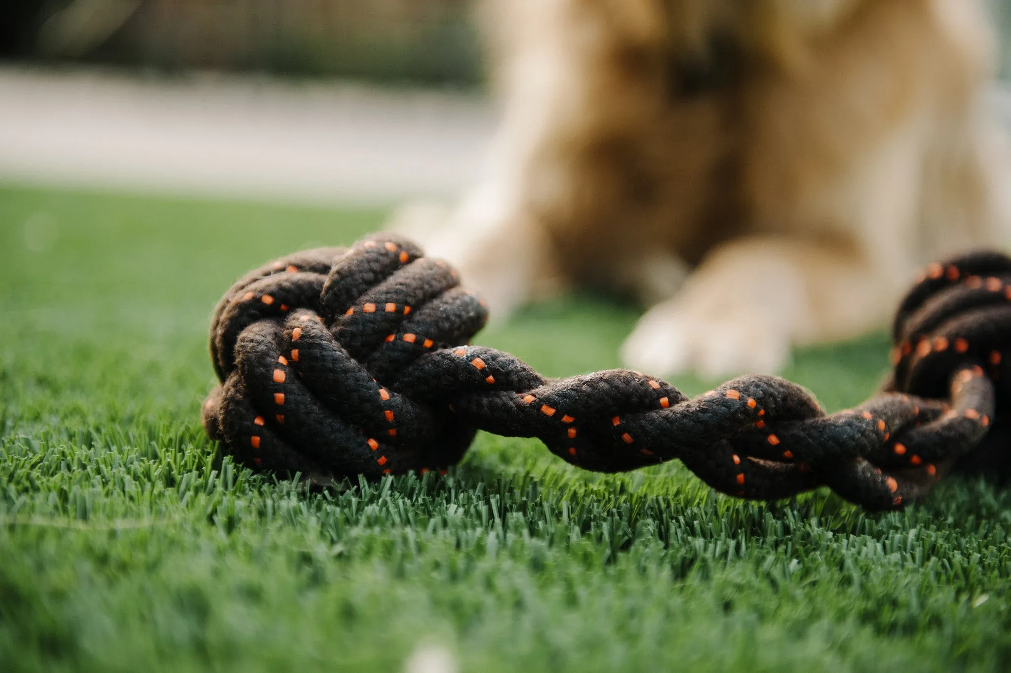 Barbell Rope Toy