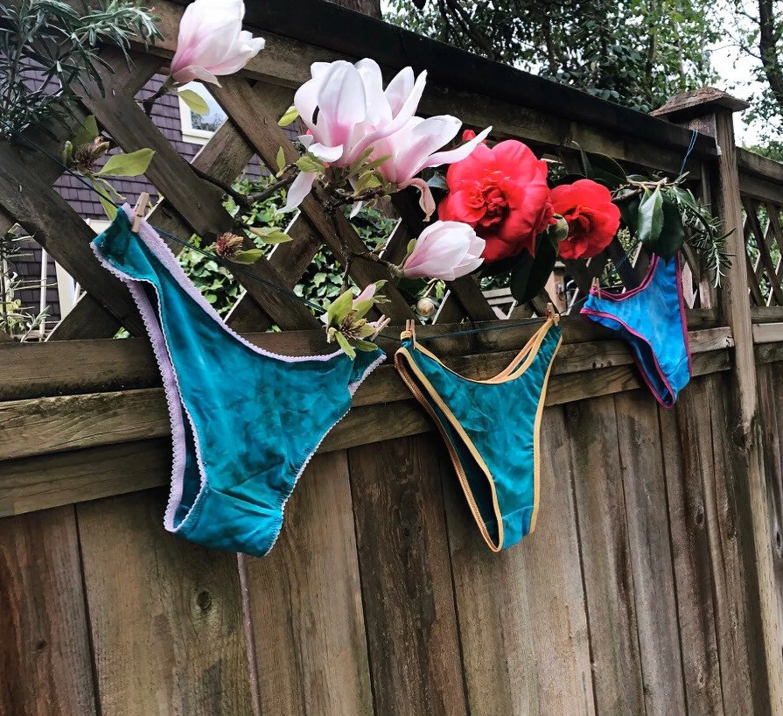 Bird of Paradise Bamboo French Cut panty