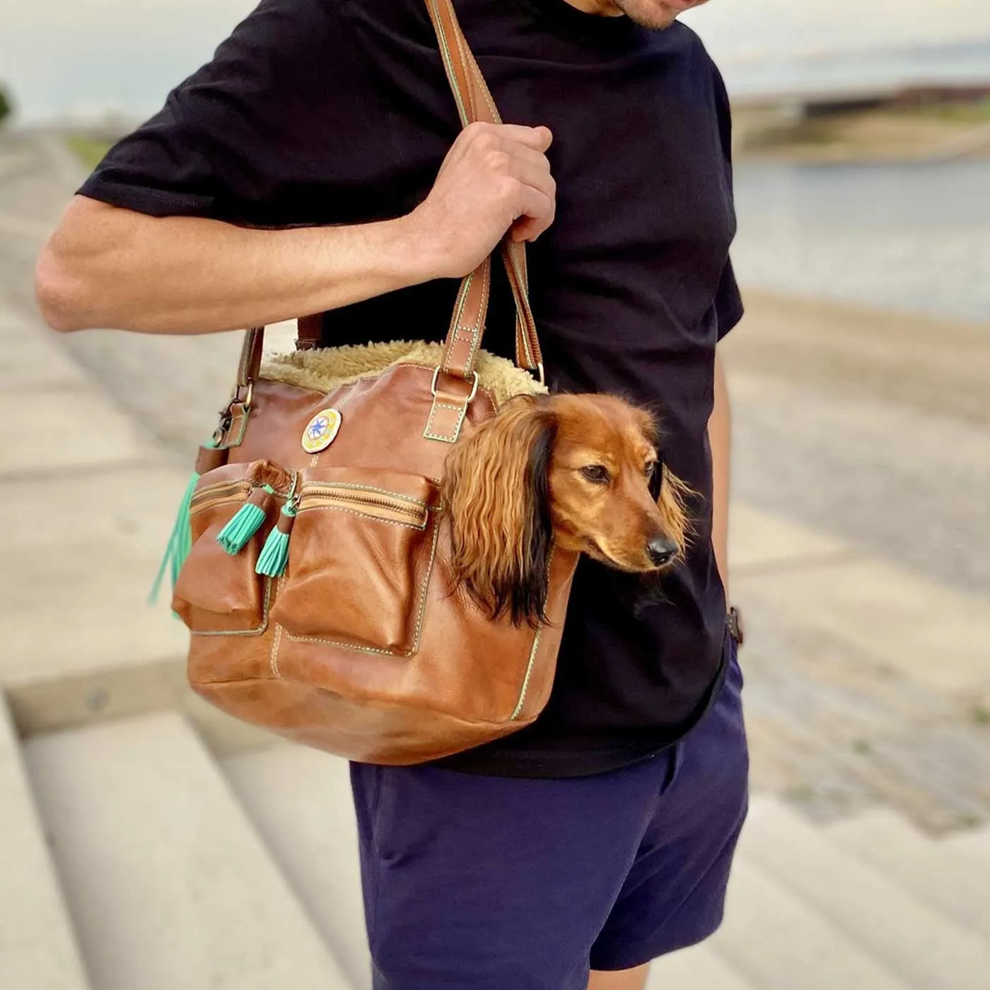 Blondie Dog Carrier by DWAM