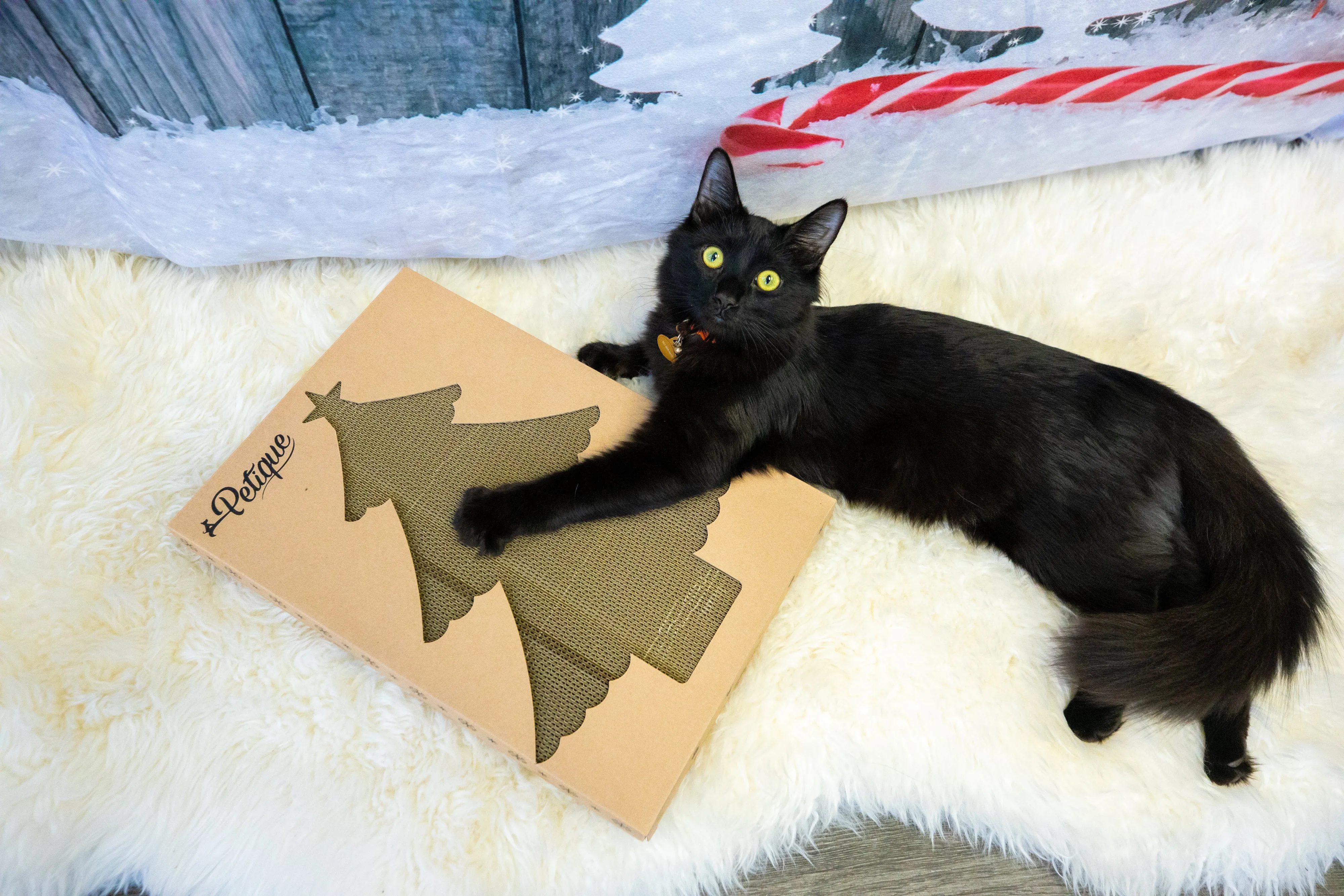 Christmas Scratch Board: Sustainable, 100% Eco-Friendly, Non-Toxic, Light & Sturdy, Reversible Panels, Compostable, Biodegradable, Patented, Long-Lasting, Reduces Waste, for Cats