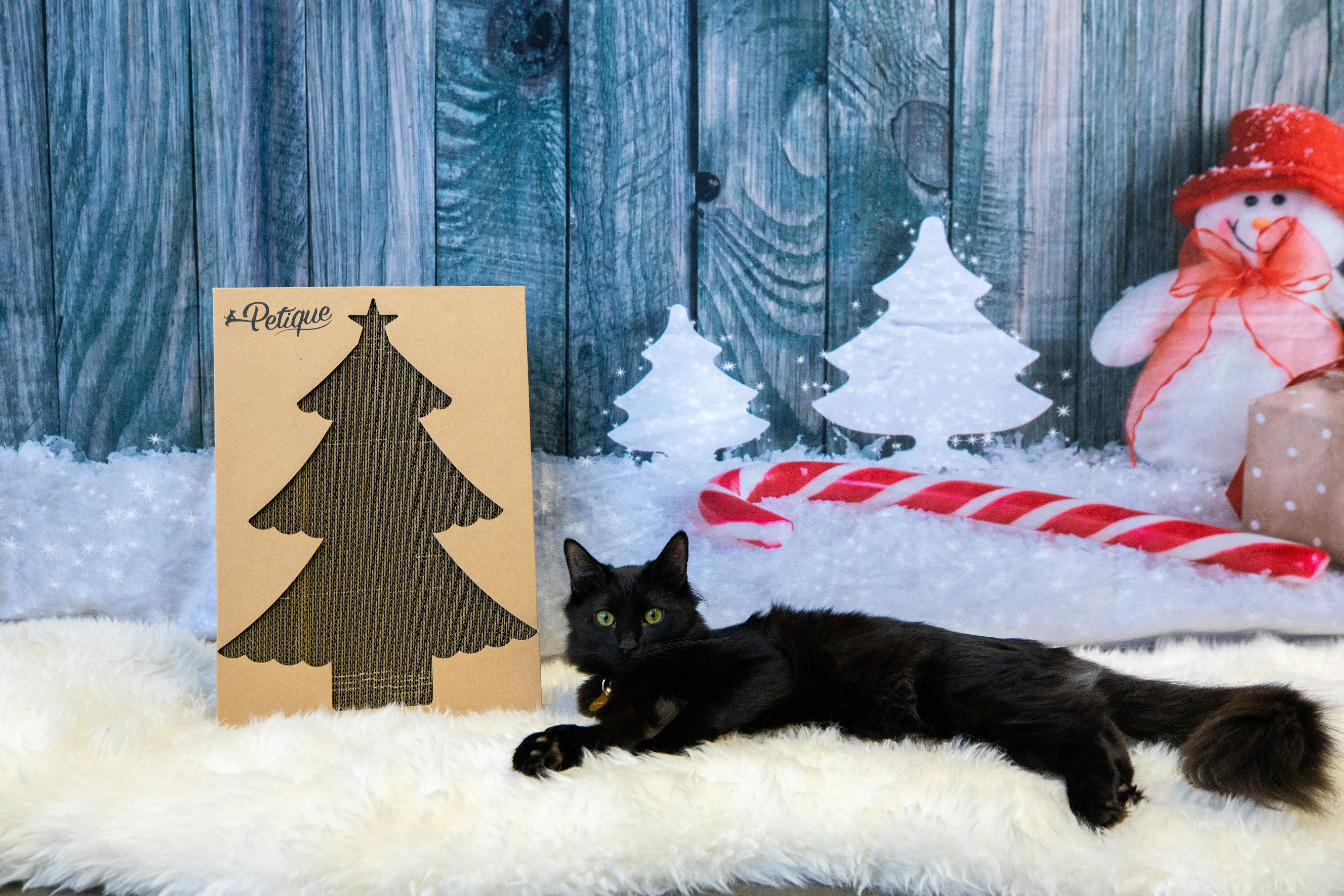 Christmas Scratch Board: Sustainable, 100% Eco-Friendly, Non-Toxic, Light & Sturdy, Reversible Panels, Compostable, Biodegradable, Patented, Long-Lasting, Reduces Waste, for Cats