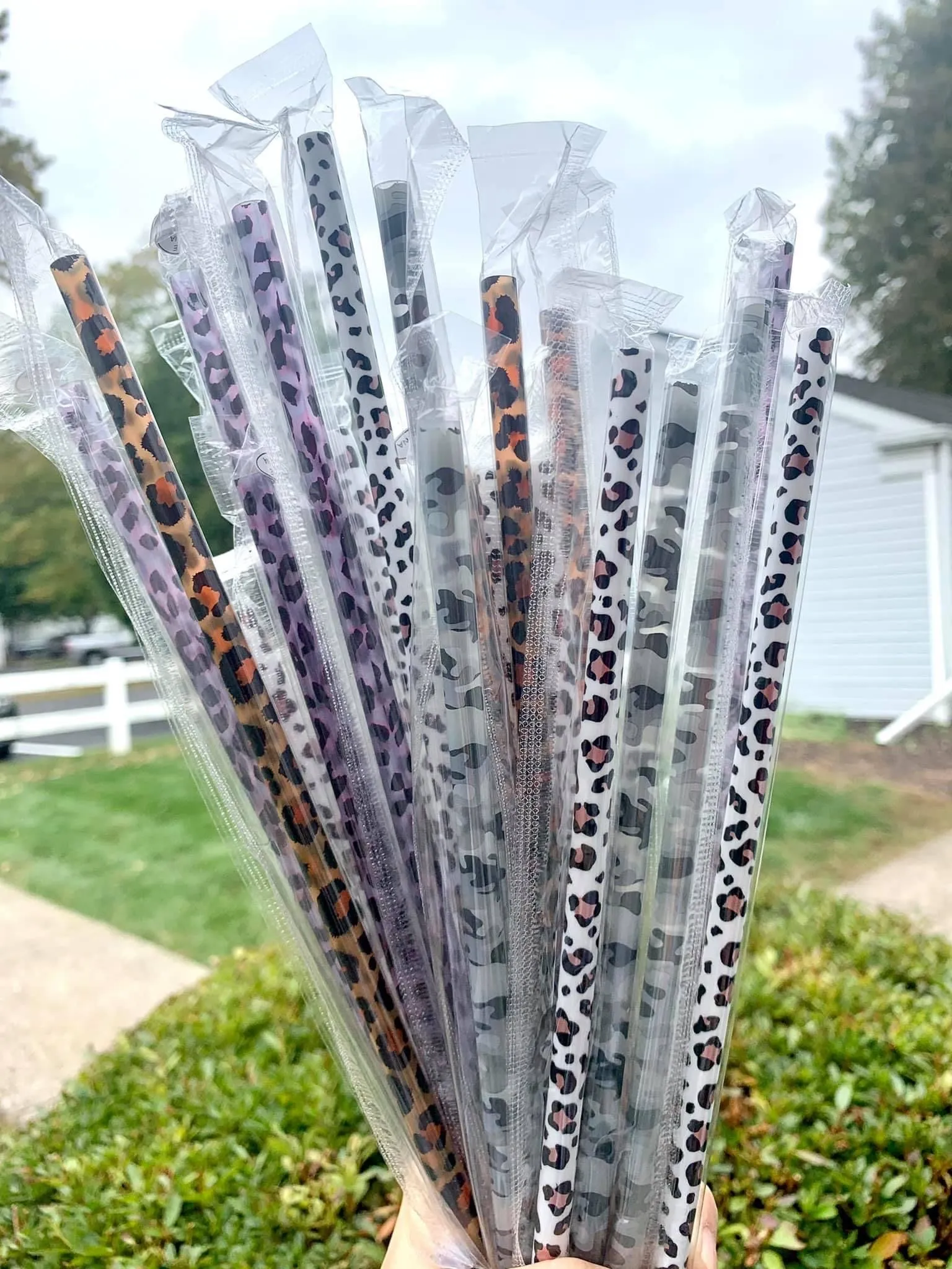 Eco-friendly Reusable Straws