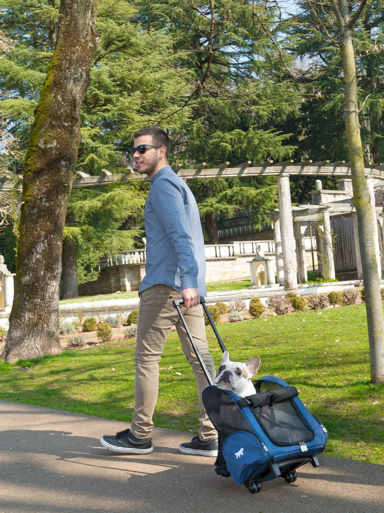 Ferplast Dog/Cat Ferplast animal trolley 32 x 28 x 51cm Max Load Red/Blue