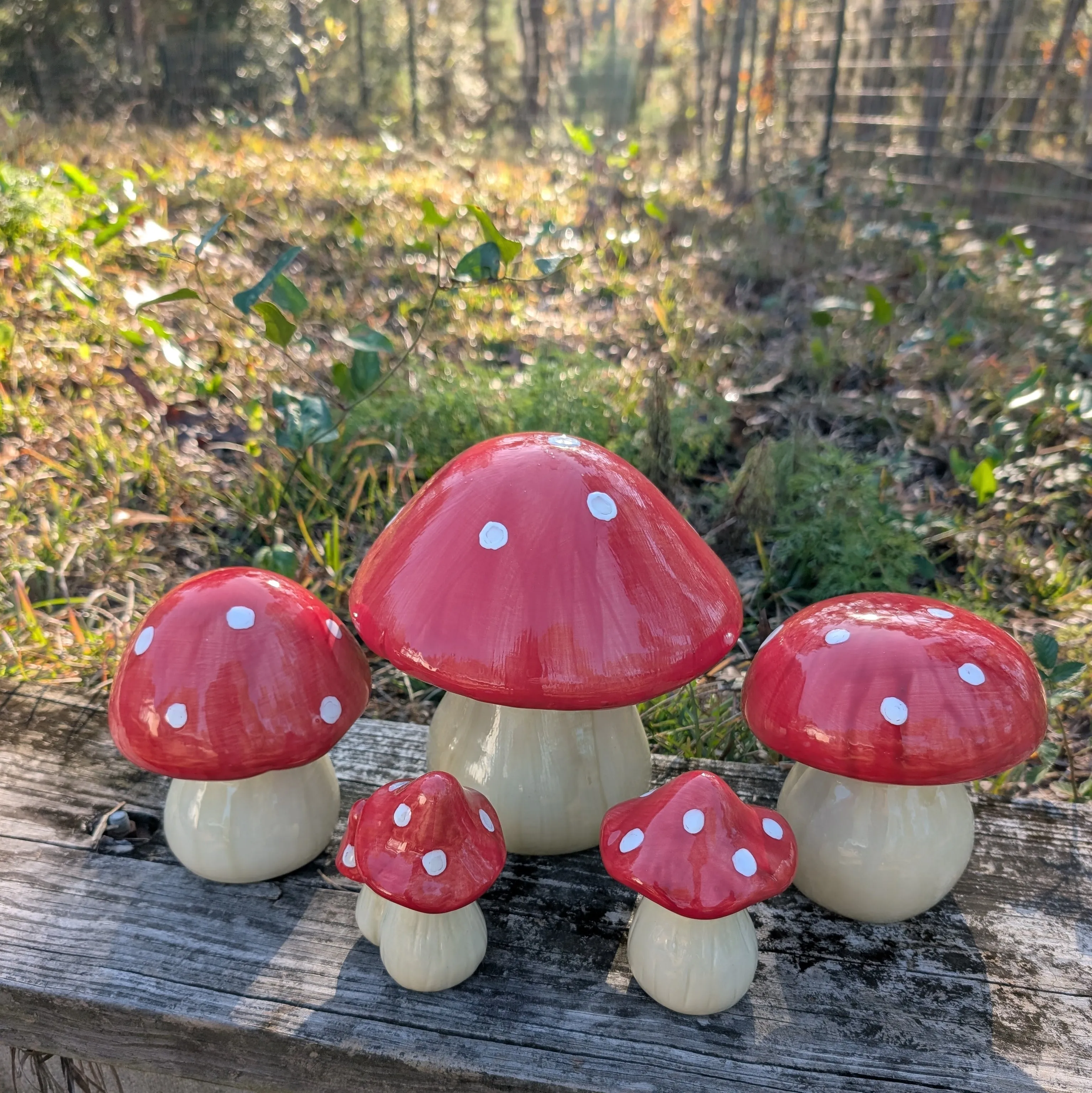 Garden mushroom (4-inch)