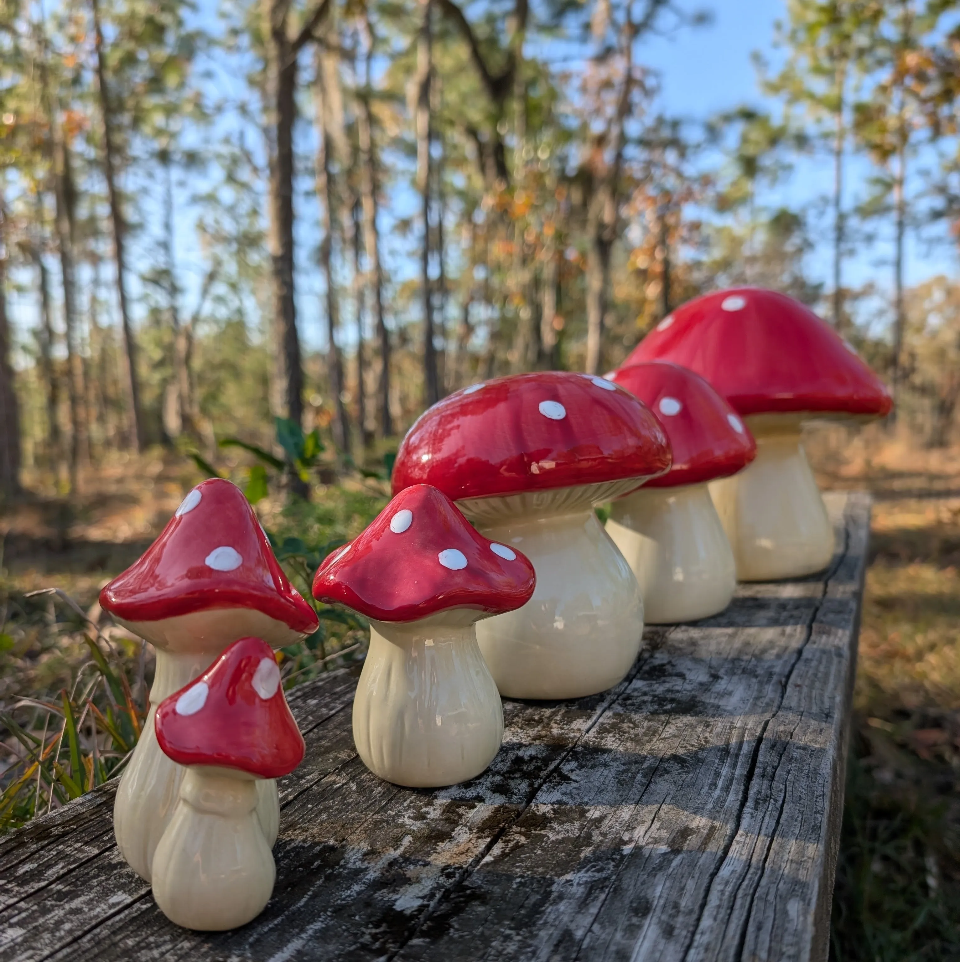 Garden mushroom (4-inch)