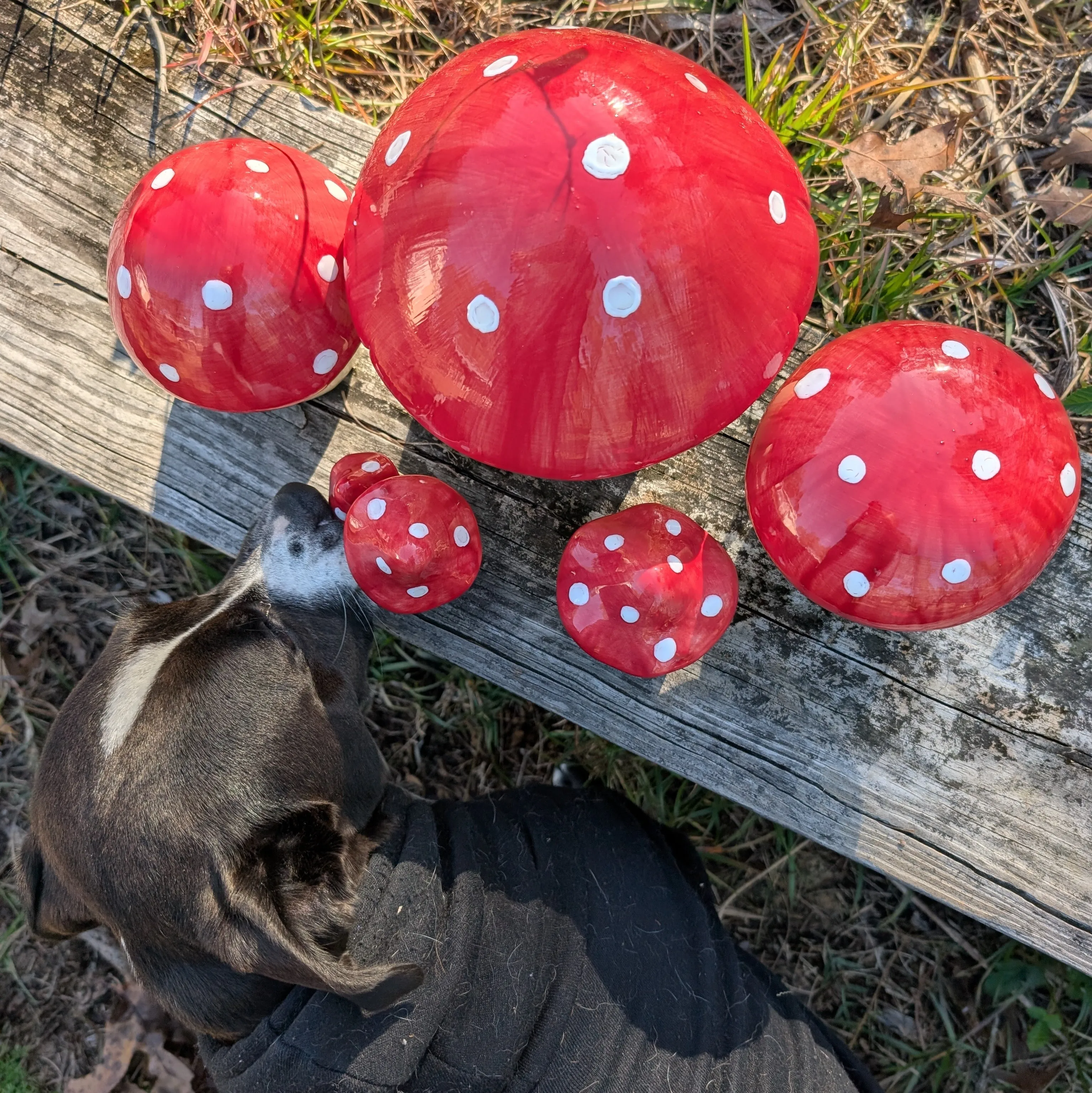 Garden mushroom (4-inch)