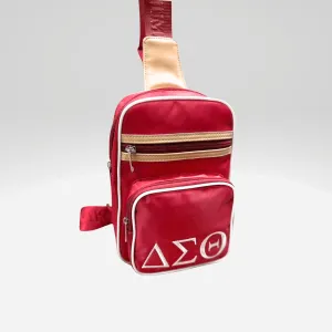 **NEW** DST Crossbody Slingback Mini Backpack