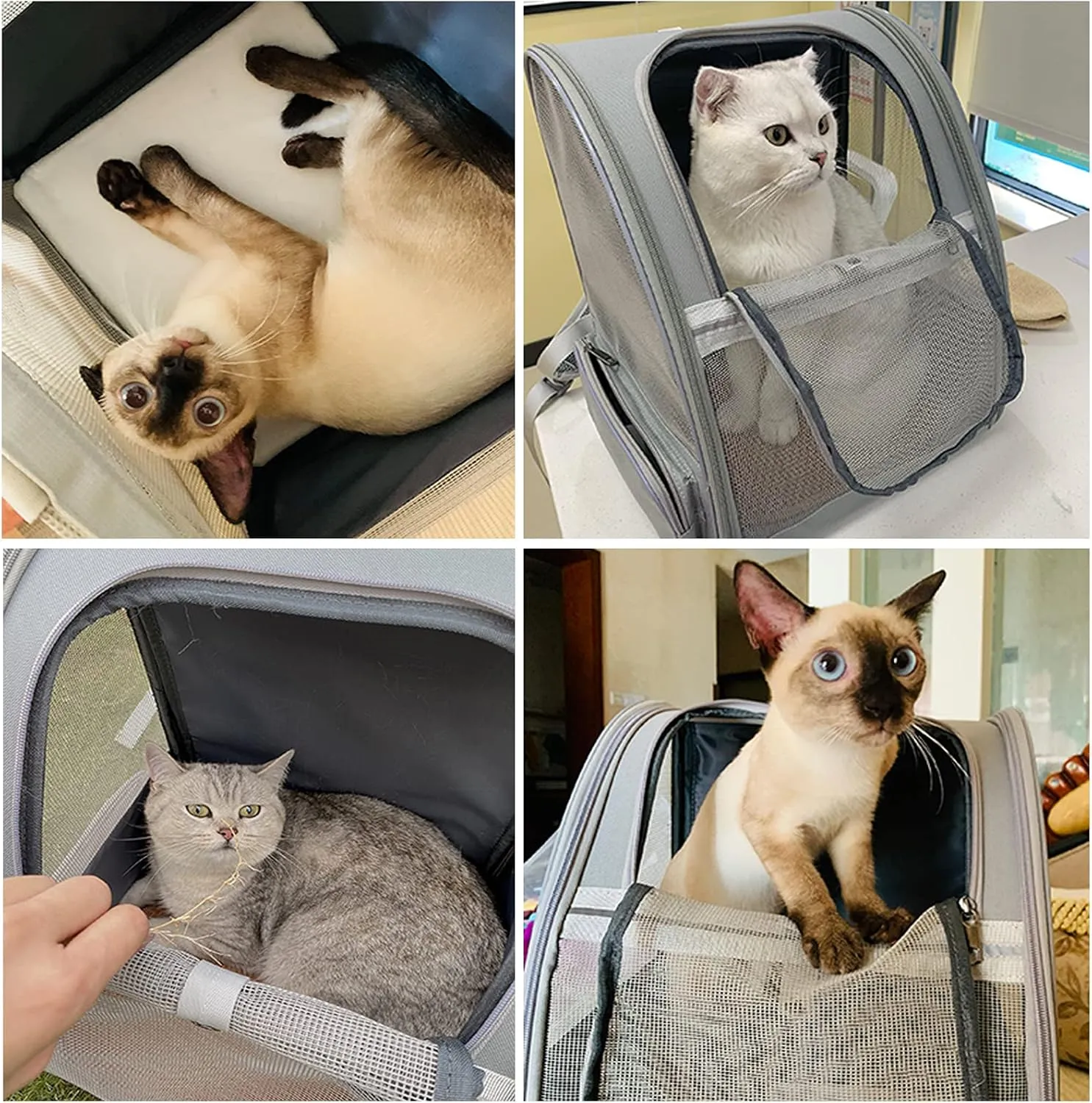 Pet Backpack Carrier for Small Cats Dogs