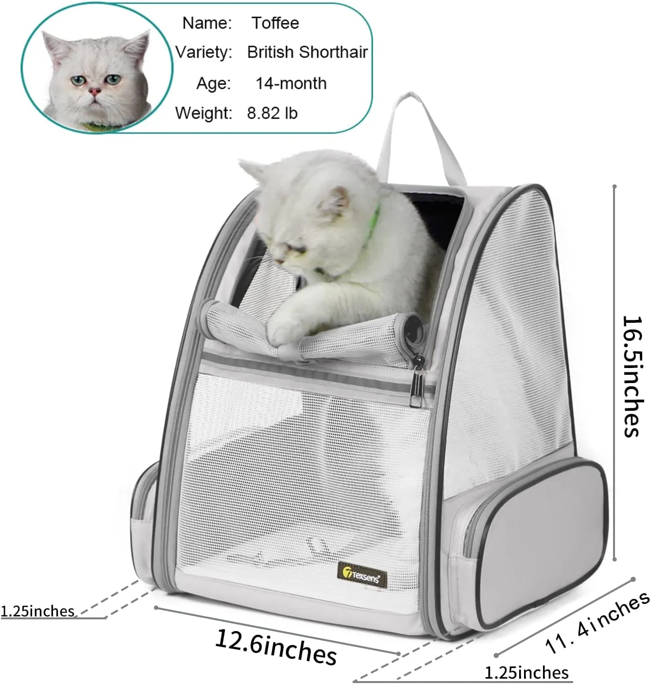 Pet Backpack Carrier for Small Cats Dogs