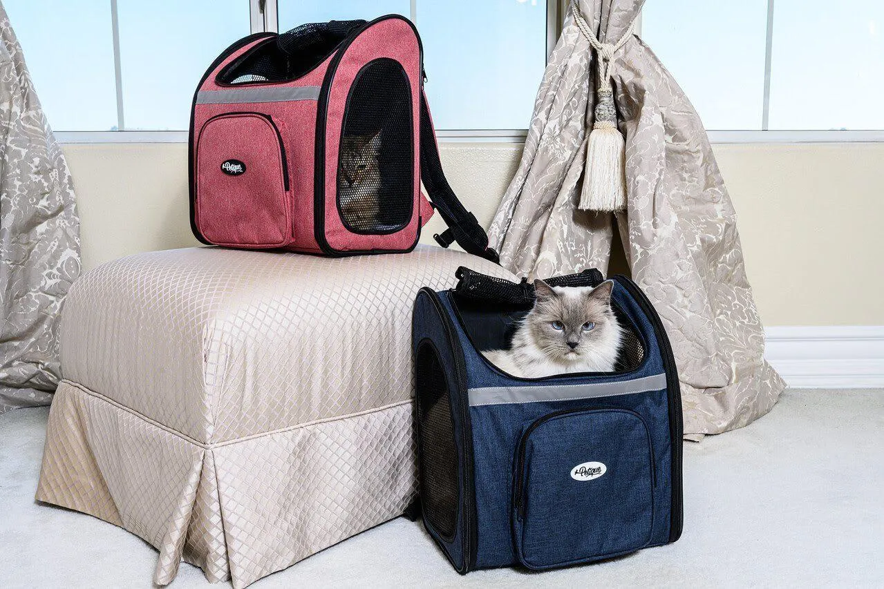 Petique The Backpacker Pet Carrier