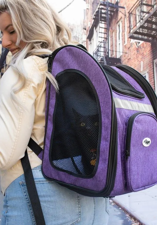 Petique The Backpacker Pet Carrier