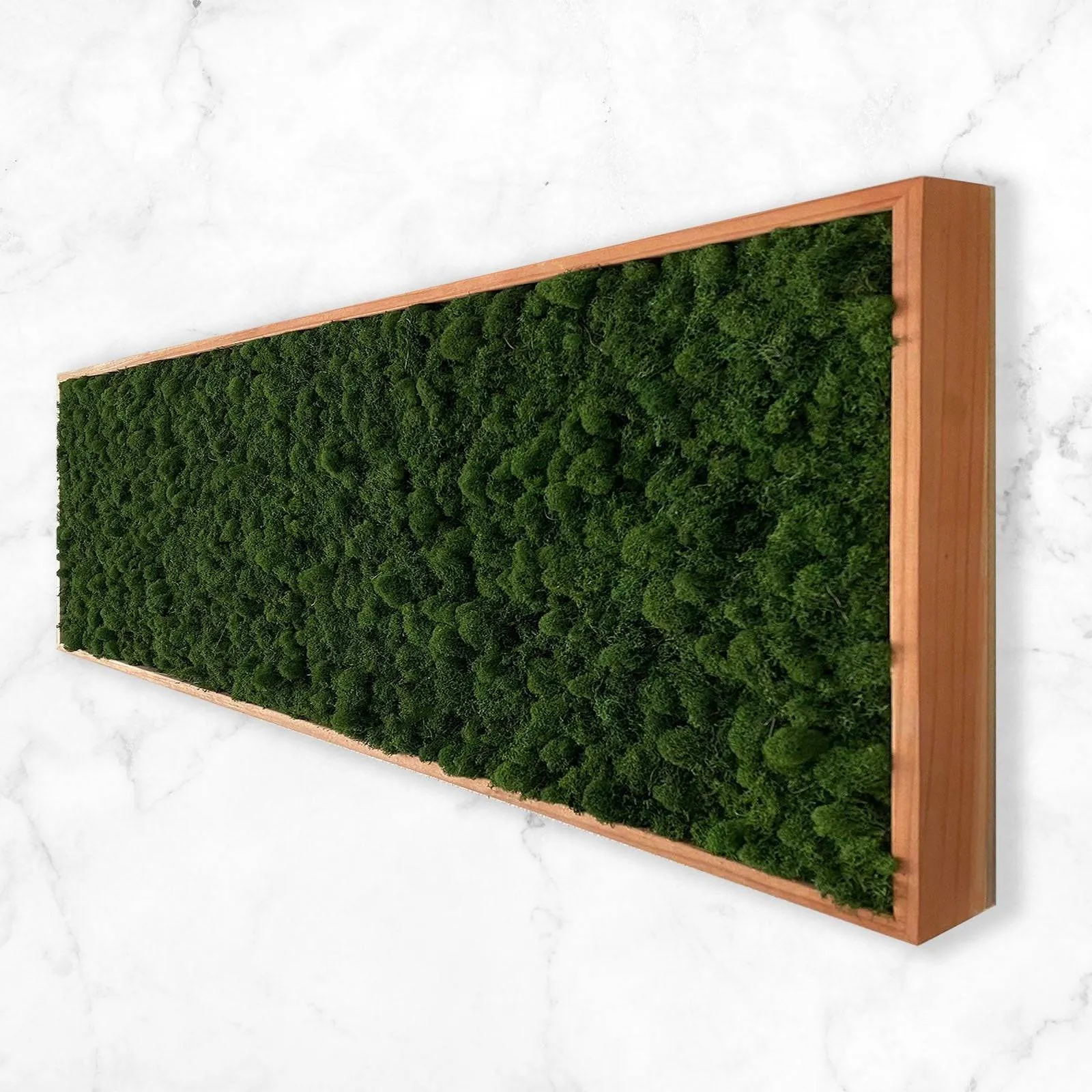 Preserved Reindeer Moss Wall Art