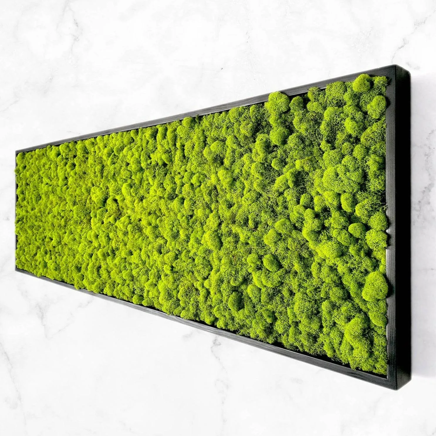 Preserved Reindeer Moss Wall Art