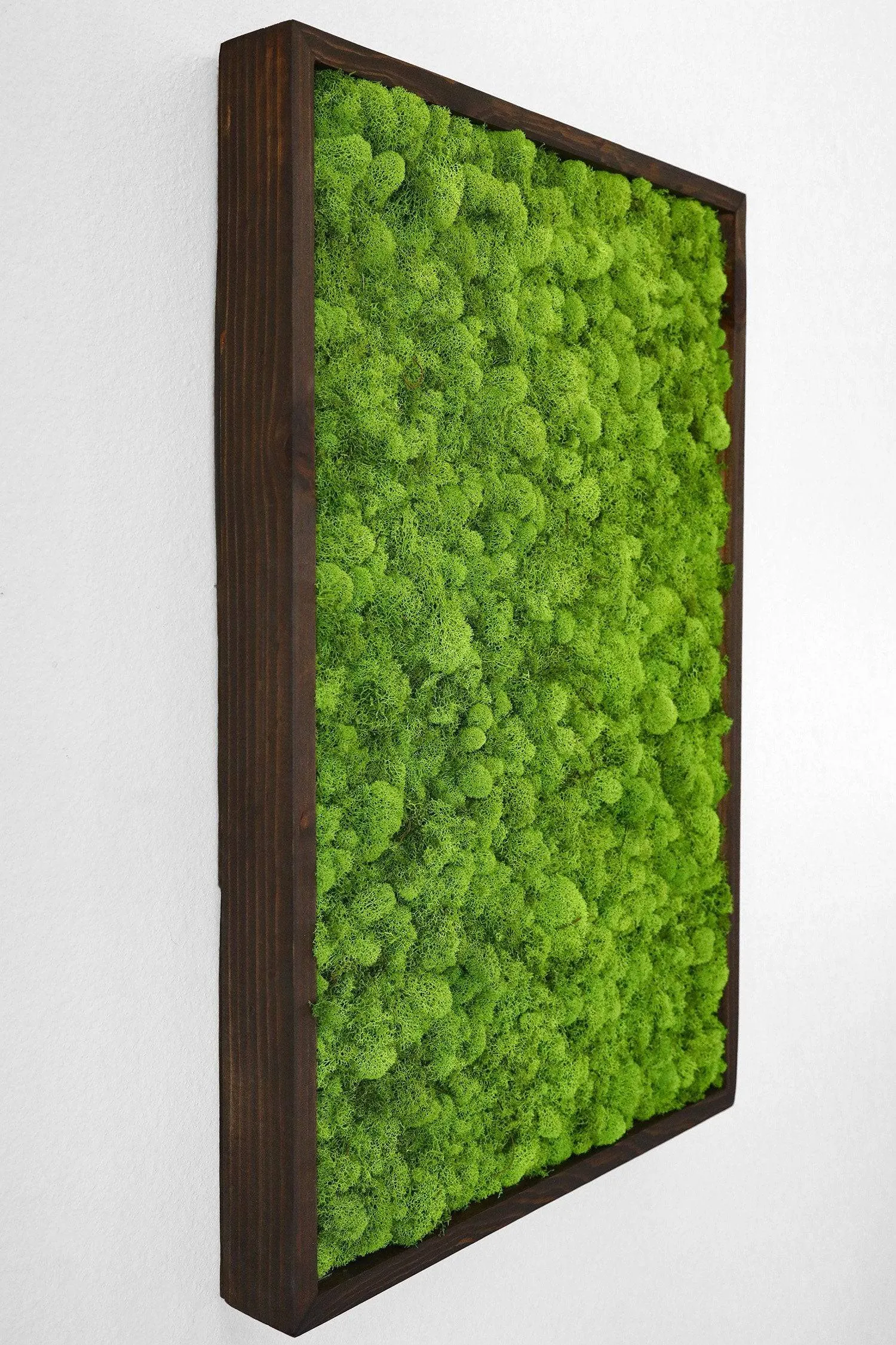 Preserved Reindeer Moss Wall Art