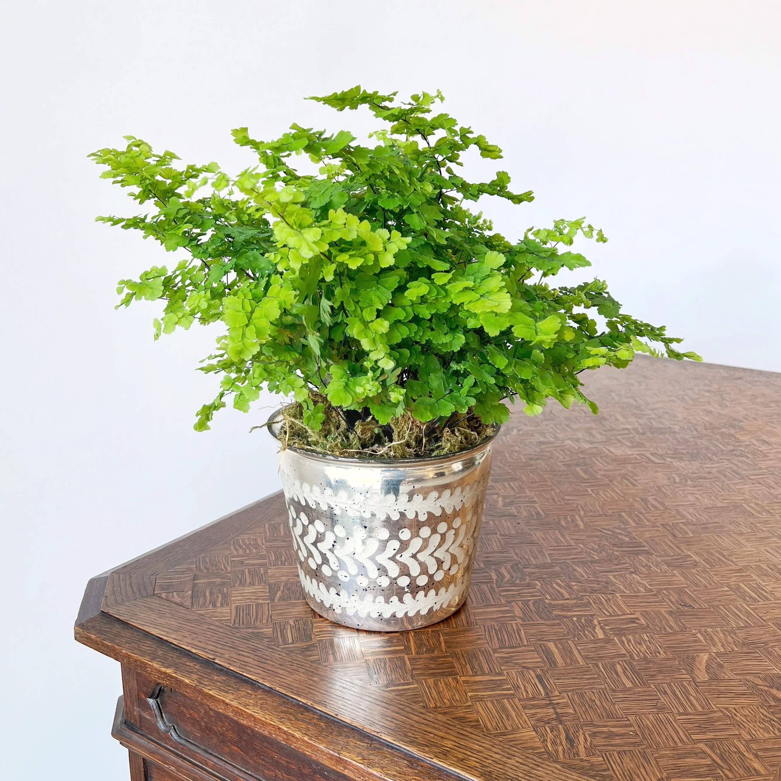 Silver Mercury Glass Cachepot