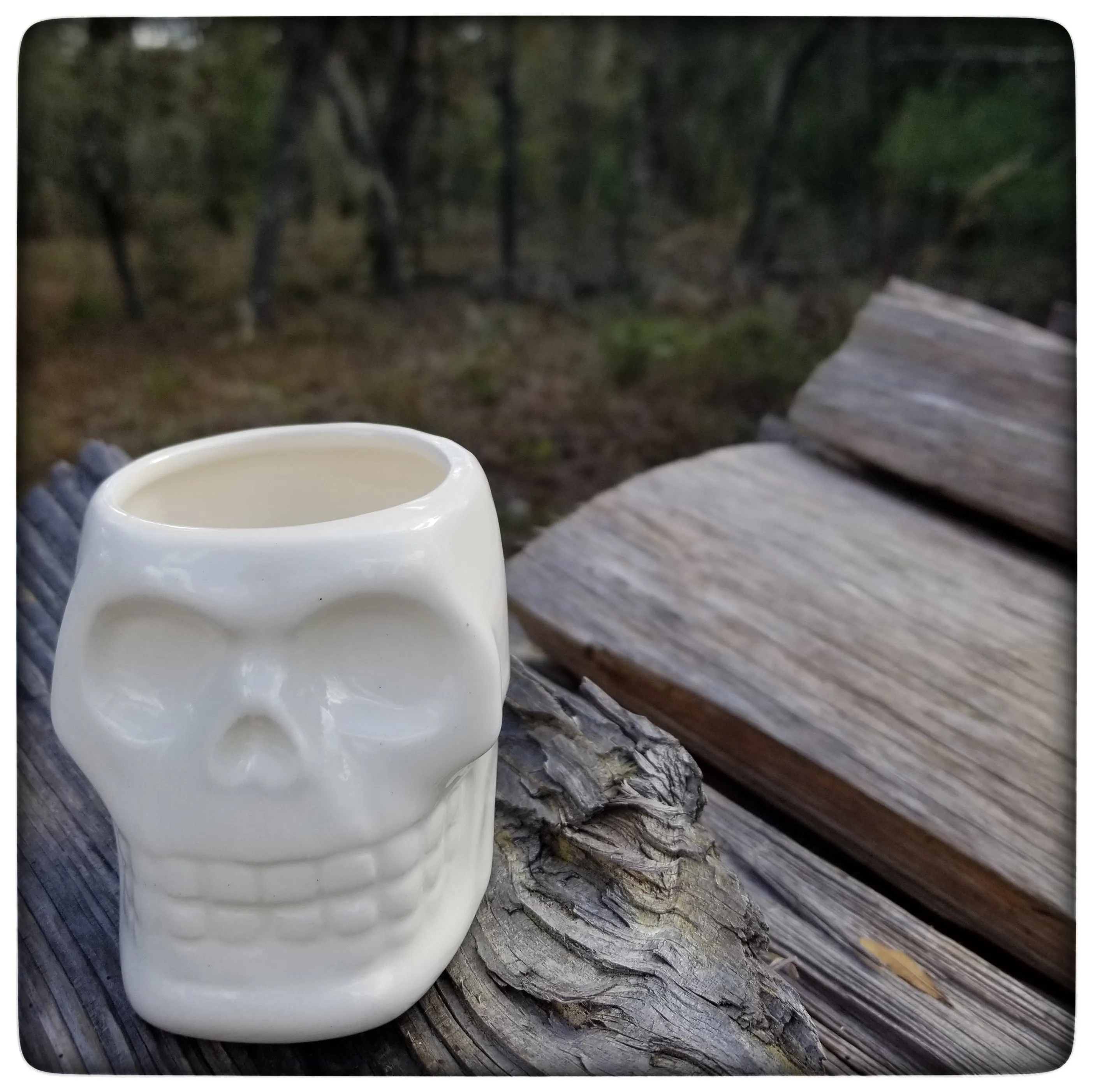 Skull shot glass