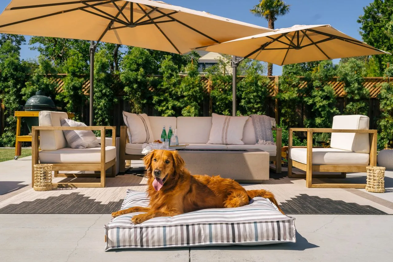 Standard Dog Bed: Seaside Boxy Sea Glass