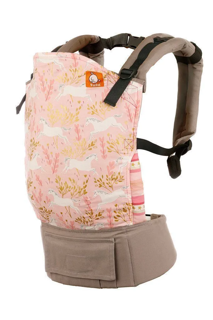 Tula Toddler Carrier Frolic