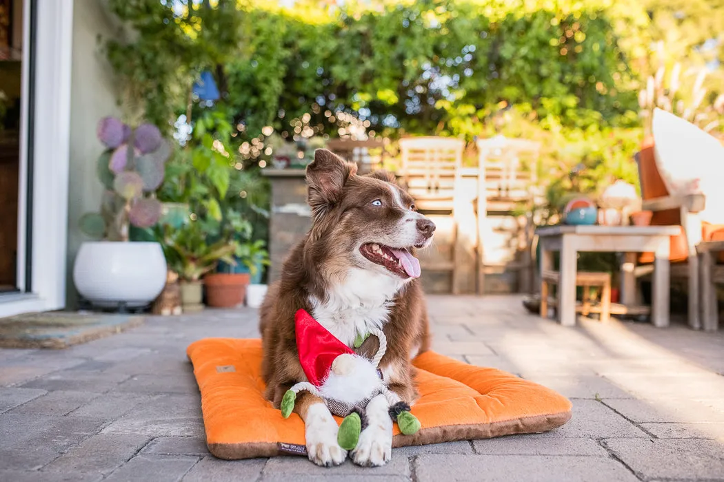 Willow's Mythical Creatures, Squeaky Plush Dog Toy