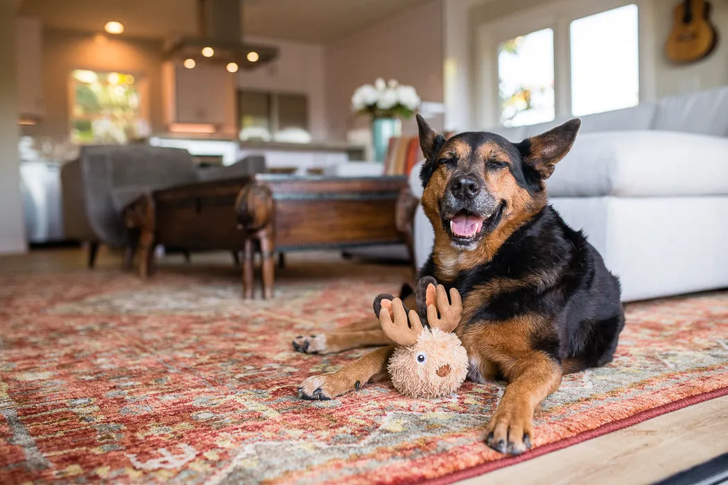 Willow's Mythical Creatures, Squeaky Plush Dog Toy