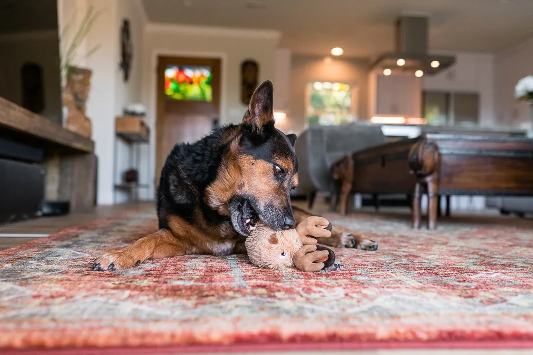 Willow's Mythical Creatures, Squeaky Plush Dog Toy